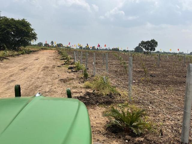 Land for sale in Jogipet, Telangana