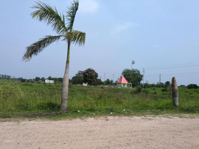 Land for sale in South 24 Parganas, West Bengal