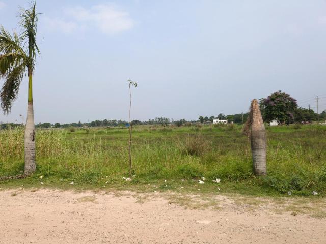 Land for sale in South 24 Parganas, West Bengal