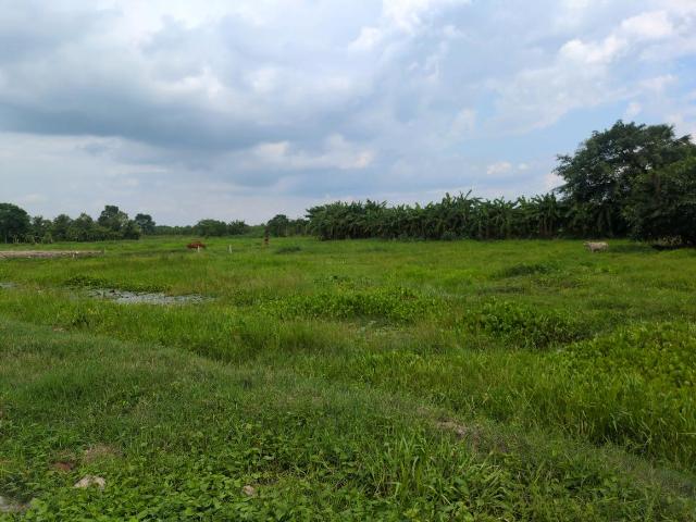 Land for sale in South 24 Parganas, West Bengal