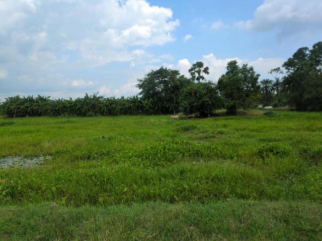 Land for sale in South 24 Parganas, West Bengal