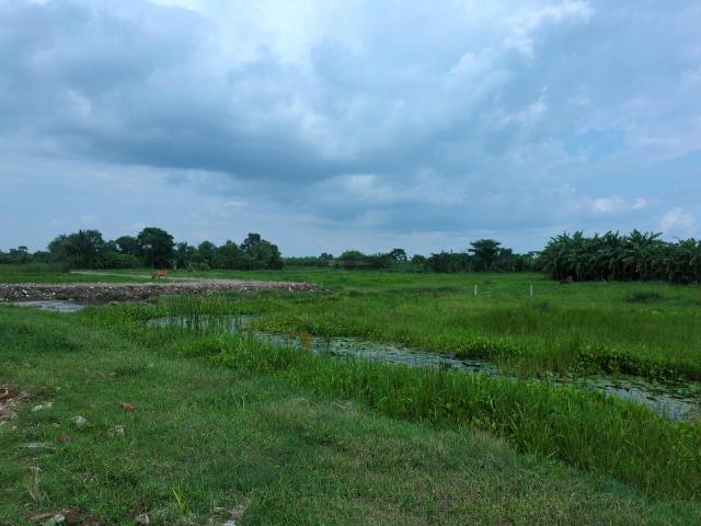 Land for sale in South 24 Parganas, West Bengal