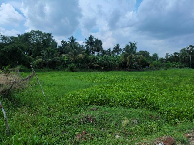 Land for sale in South 24 Parganas, West Bengal