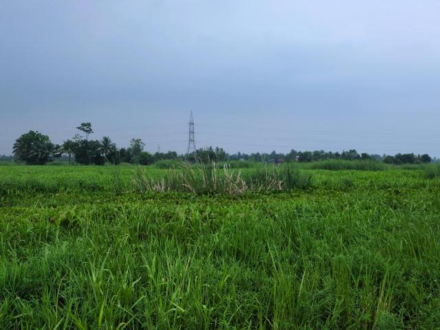 Land for sale in Joka, South 24 Parganas