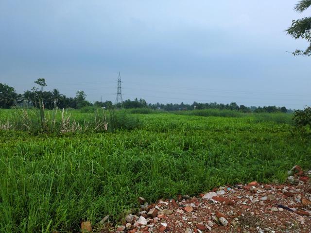 Land for sale in Joka, South 24 Parganas