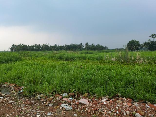 Land for sale in Joka, South 24 Parganas