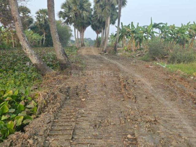 Land for sale in South 24 Parganas, West Bengal
