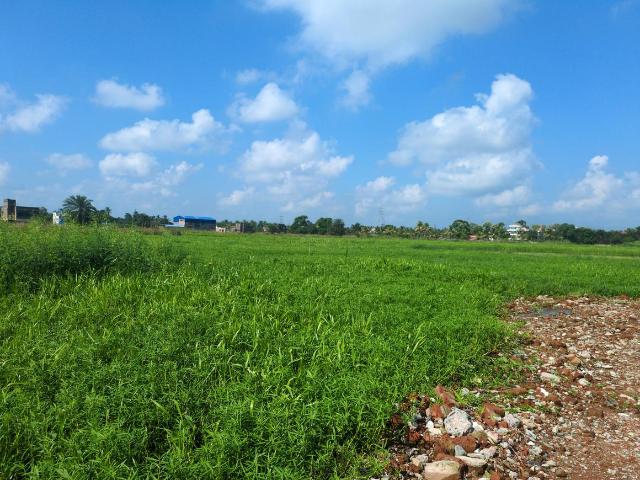 Land for sale in Joka, South 24 Parganas