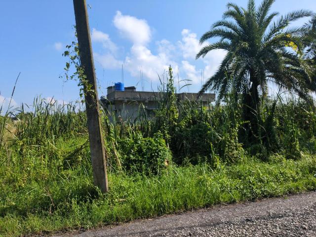 Land for sale in Joka, South 24 Parganas