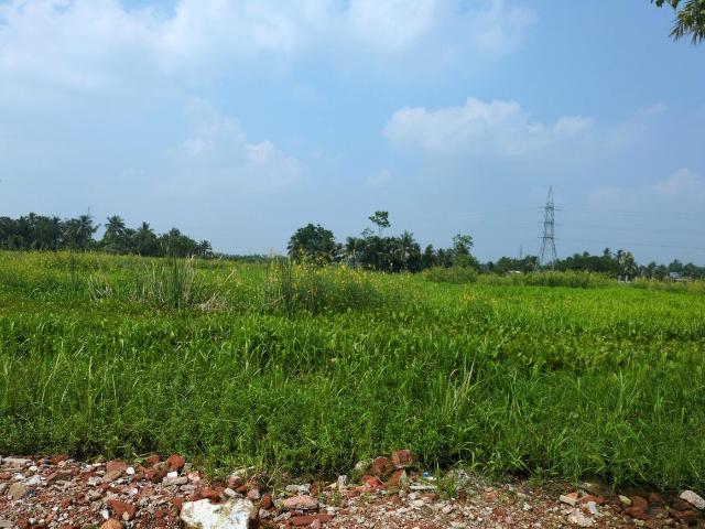 Land for sale in Joka, South 24 Parganas