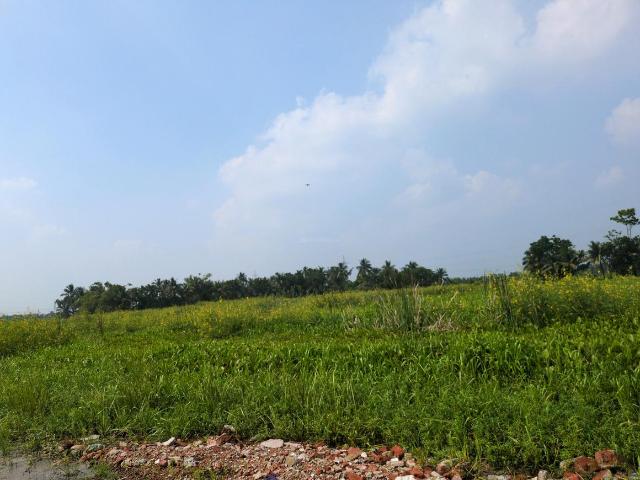 Land for sale in Joka, South 24 Parganas