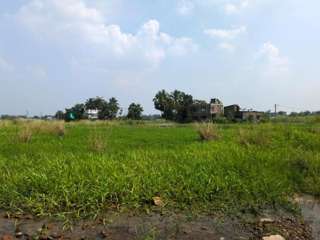Land for sale in Joka, South 24 Parganas