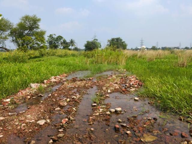 Land for sale in Joka, South 24 Parganas