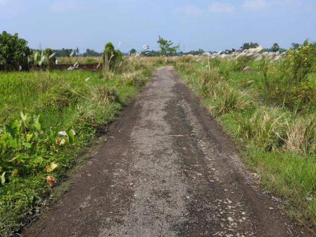 Land for sale in Joka, South 24 Parganas