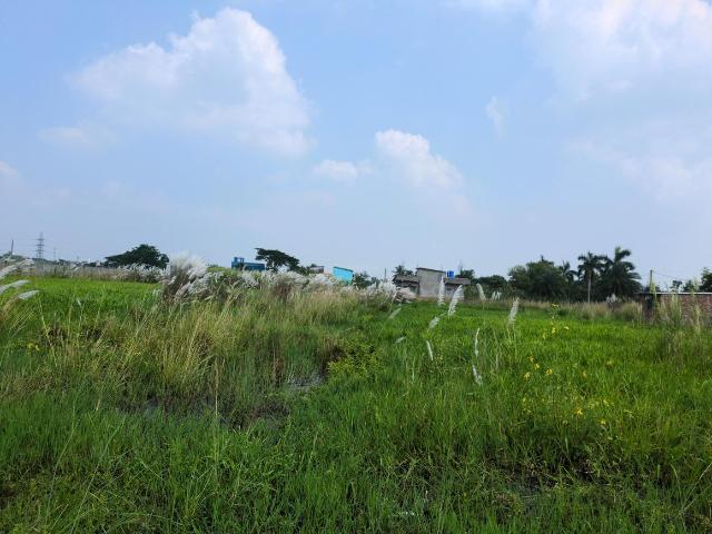 Land for sale in Joka, South 24 Parganas