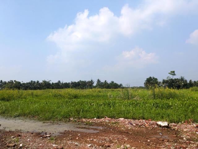 Land for sale in Joka, South 24 Parganas