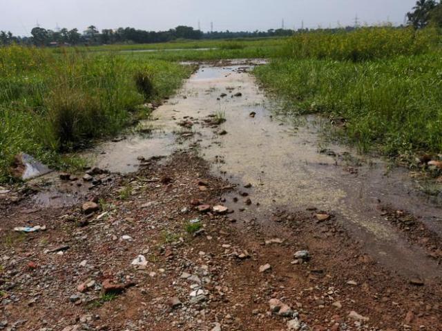 Land for sale in Joka, South 24 Parganas