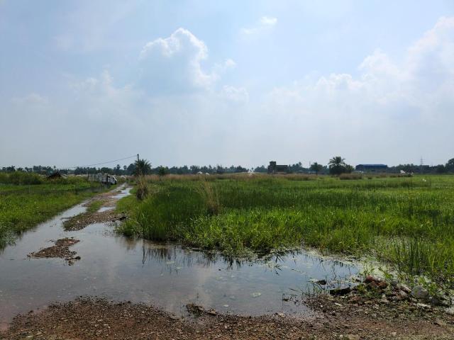 Land for sale in Joka, South 24 Parganas