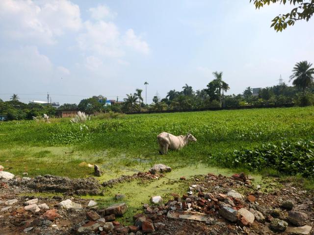 Land for sale in Joka, South 24 Parganas