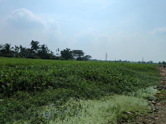 Land for sale in Joka, South 24 Parganas