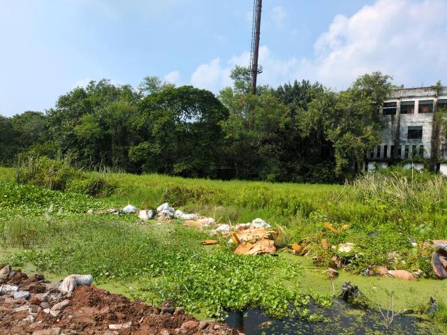 Land for sale in Joka, South 24 Parganas