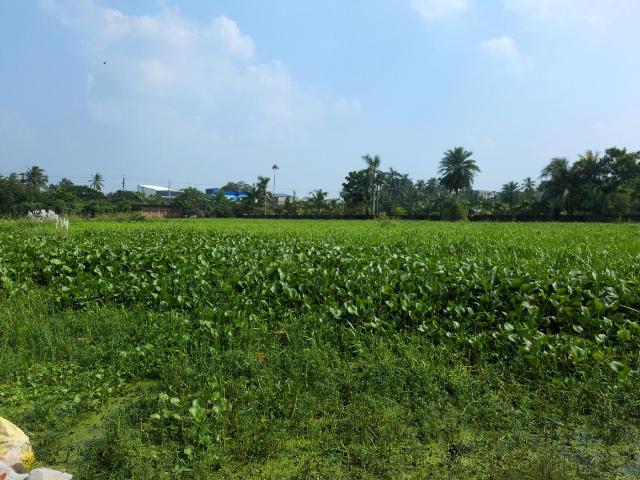 Land for sale in Joka, South 24 Parganas