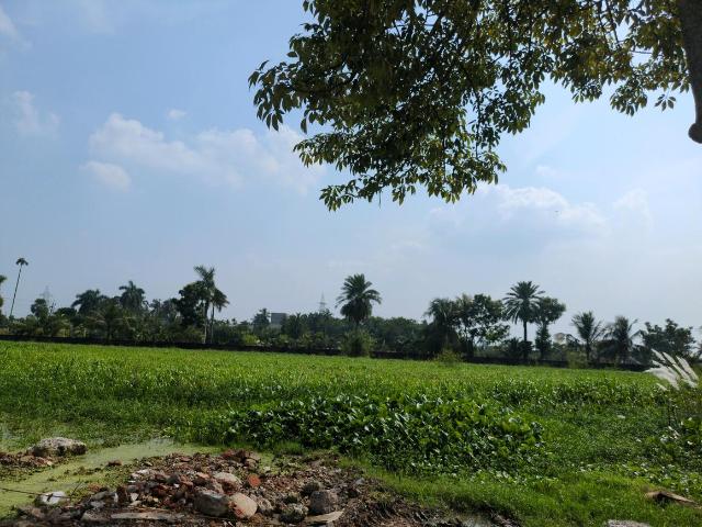 Land for sale in Joka, South 24 Parganas