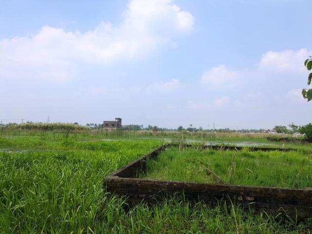 Land for sale in Joka, South 24 Parganas
