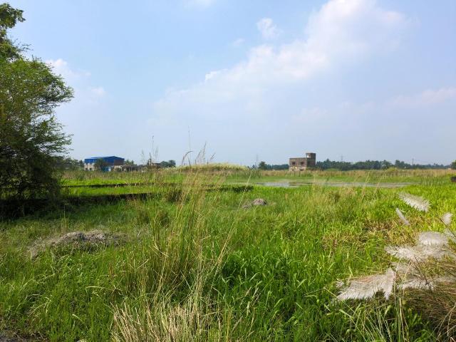 Land for sale in Joka, South 24 Parganas