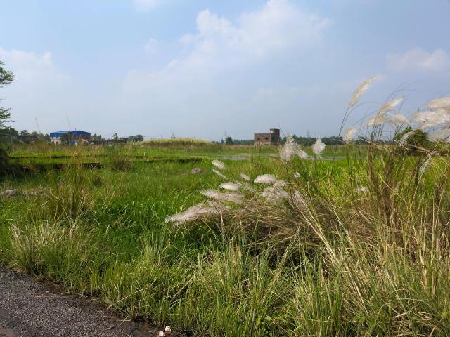 Land for sale in Joka, South 24 Parganas