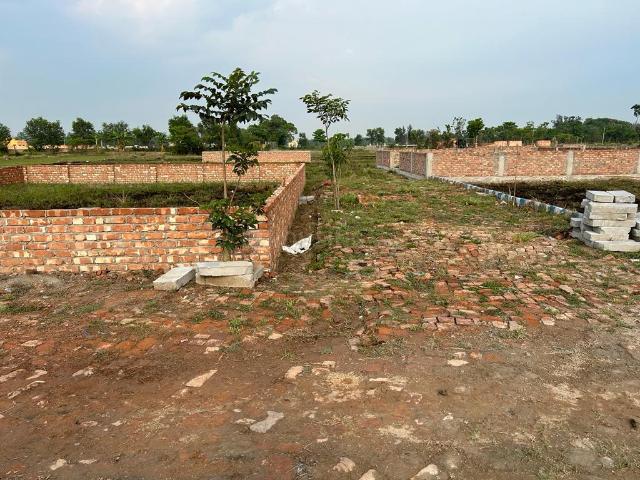 Land for sale in Kalagachhia, South 24 Parganas