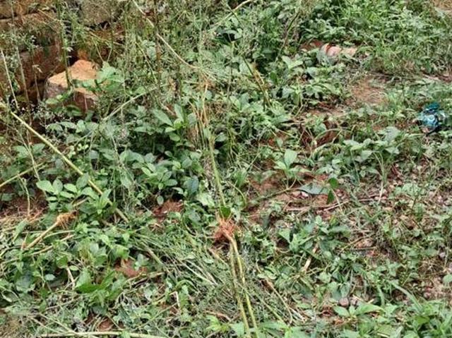Land for sale in Bangalore South, Cox Town - Bangalore