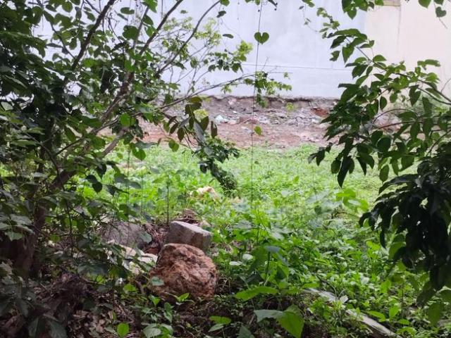 Land for sale in Bangalore South, Cox Town - Bangalore