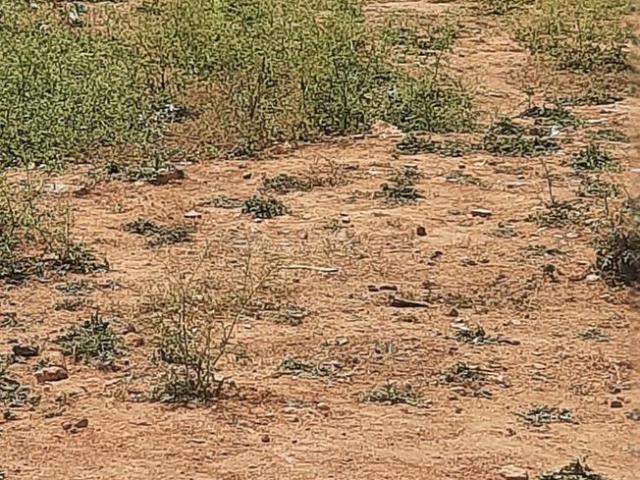 Land for sale in Bangalore South, Cox Town - Bangalore
