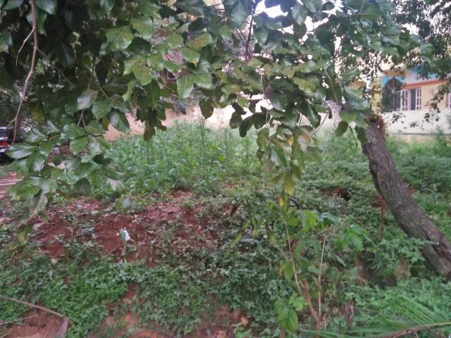 Land for sale in Bangalore South, Cox Town - Bangalore