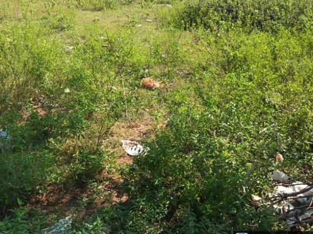 Land for sale in Cheyyur, Tamil Nadu