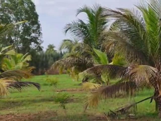 Land for sale in Cheyyur, Tamil Nadu