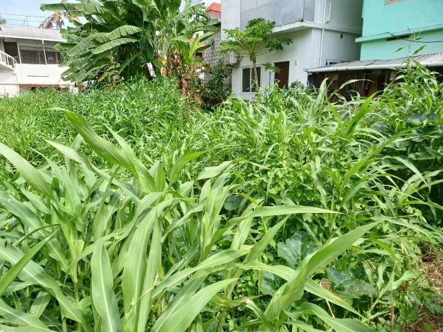 Land for sale in Ernakulam