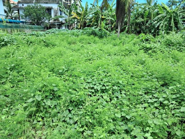 Land for sale in Cochin, Kerala