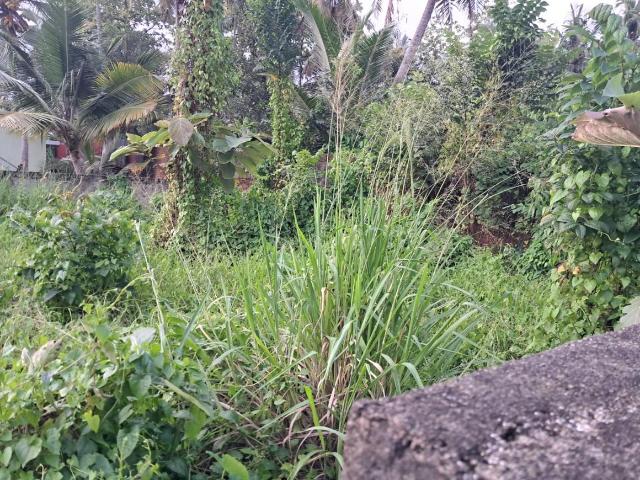 Land for sale in Cochin, Kerala