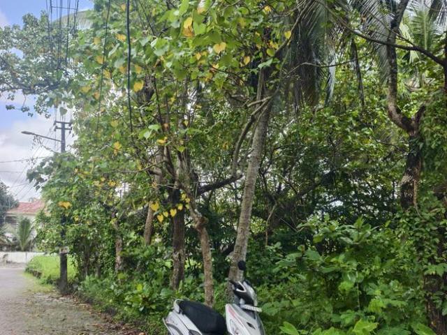 Land for sale in Cochin, Kerala