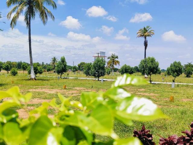 Land for sale in Bangalore East, Cox Town - Bangalore