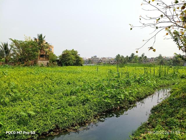 Land for sale in North 24 Parganas, West Bengal