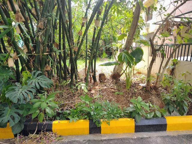 Land for sale in Bangalore East, Cox Town - Bangalore