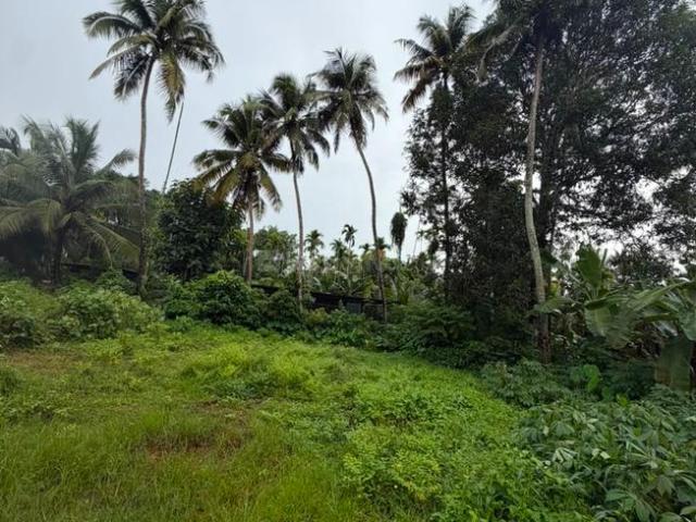 Land for sale in Thrissur, Kerala