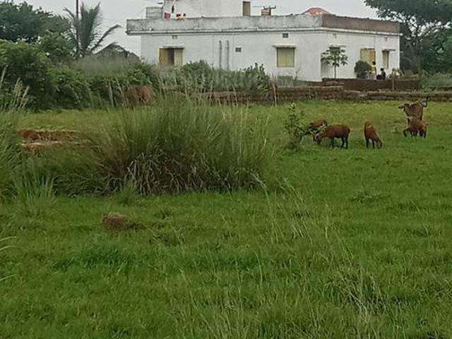 Land for sale in Puri District