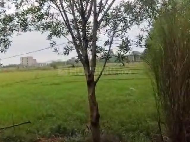 Land for sale in Puri District