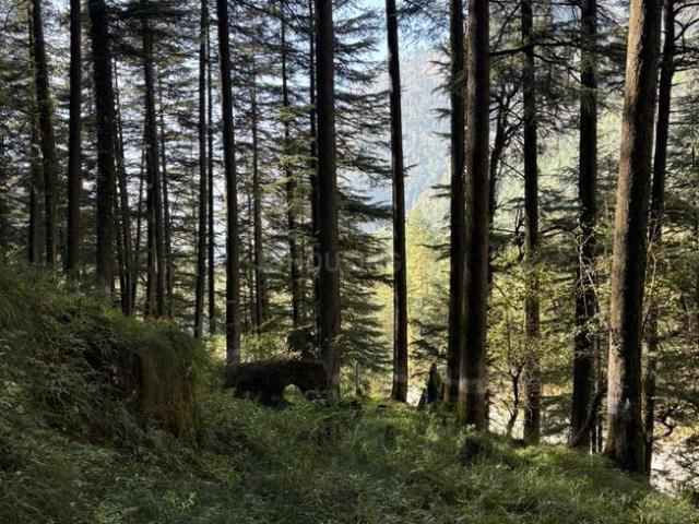 Land for sale in Himachal Pradesh