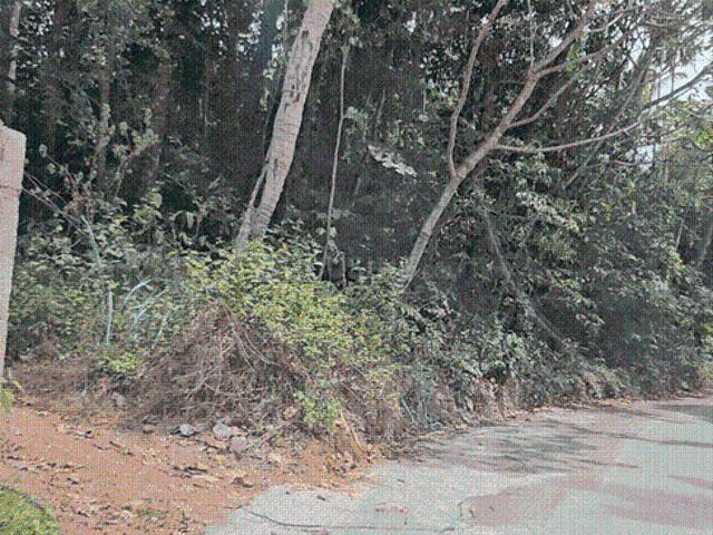 Land for sale in Cochin, Kerala