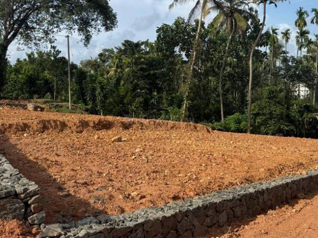 Land for sale in Cochin, Kerala